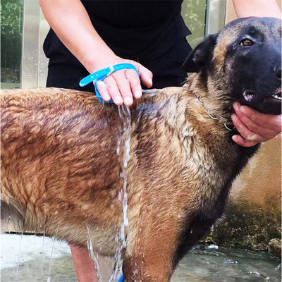 ODM 실리콘 PET 청소 브러쉬 자기 청소 고양이 정화 브러쉬 개