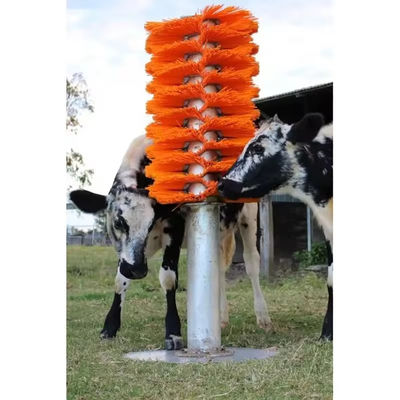 435 또는 510mm 소 붓 Pp 나일론 소 긁기 및 정리를 위해