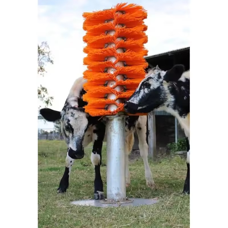 435 또는 510mm 소 붓 Pp 나일론 소 긁기 및 정리를 위해